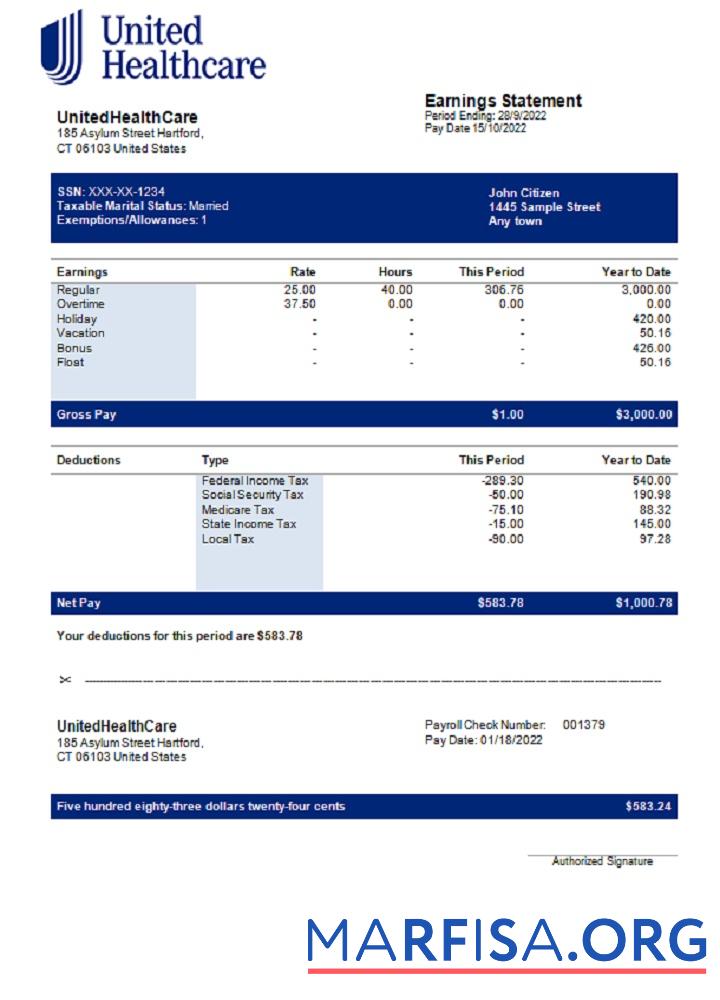 Downloadable USA UnitedHealthCare managed care company pay stub download for verification